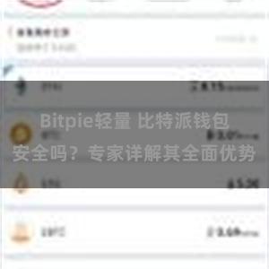 Bitpie轻量 比特派钱包安全吗？专家详解其全面优势