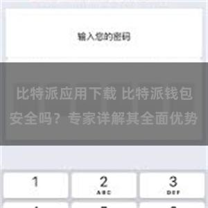 比特派应用下载 比特派钱包安全吗？专家详解其全面优势