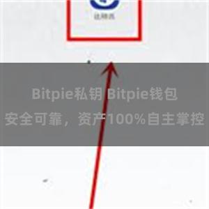 Bitpie私钥 Bitpie钱包安全可靠，资产100%自主掌控