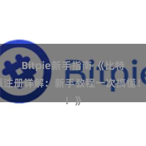 Bitpie新手指南 《比特派注册详解：新手教程一次搞懂！》