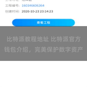 比特派教程地址 比特派官方钱包介绍，完美保护数字资产