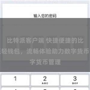 比特派客户端 快捷便捷的比特派轻钱包，流畅体验助力数字货币管理