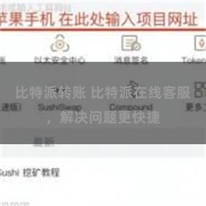 比特派转账 比特派在线客服，解决问题更快捷