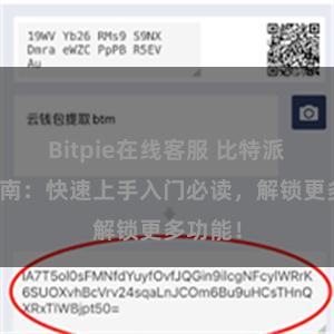 Bitpie在线客服 比特派用户指南：快速上手入门必读，解锁更多功能！