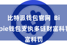 比特派钱包官网  Bitpie钱包支执多链财富科罚