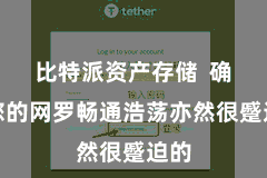 比特派资产存储  确保您的网罗畅通浩荡亦然很蹙迫的
